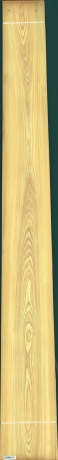 Cypress, 23.5520