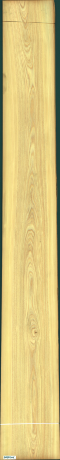 Cypress, 20.4800
