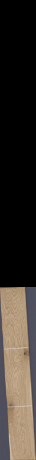 Ast Eiche rough horizontal, 4,6920