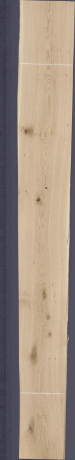 Dąb sękaty z nacięciami poziomymi, 24,1560