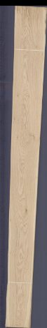 Oak with Knot rough horizontal, 20.0880