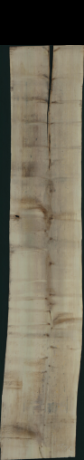 Acer Pseudoplatanus Creme, 1,6500