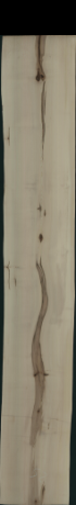Acer Pseudoplatanus Creme, 1,5980