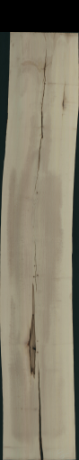 Acer Pseudoplatanus Creme, 1,7000
