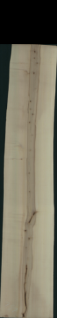 Acer Pseudoplatanus Creme, 1,5750