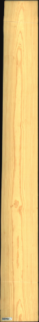 Carolina Pine, 20,8320