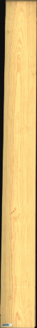 Carolina Pine, 18,8160