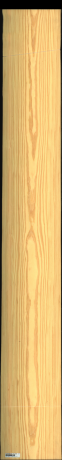 Carolina Pine, 23,1000