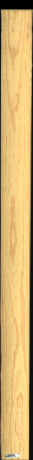 Carolina Pine, 11,2200