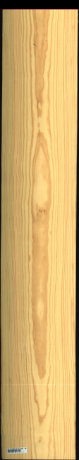 Carolina Pine, 21,7800