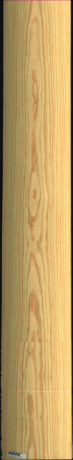 Carolina Pine, 21,5040