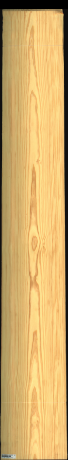 Carolina Pine, 25,0800