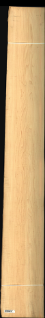 Rock Maple, 20.9880