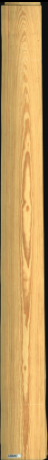 Carolina Pine, 21,9240