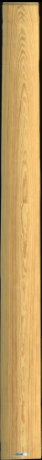 Carolina Pine, 19,6560