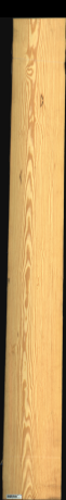 Carolina Pine, 21,5040