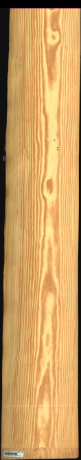 Carolina Pine, 21,8880