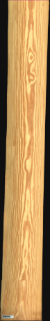 Carolina Pine, 20,8800