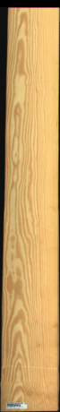 Carolina Pine, 15,0480