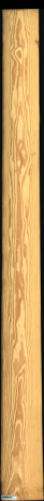 Carolina Pine, 15,0480