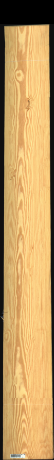 Carolina Pine, 18,4800