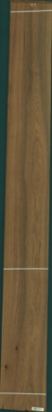 Teak, 27,7200