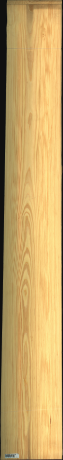 Carolina Pine, 23,9400