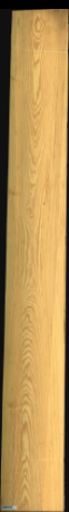 Carolina Pine, 25,6200