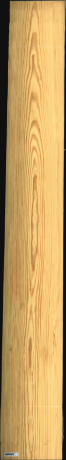 Carolina Pine, 23,9400