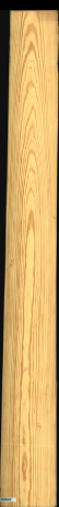 Carolina Pine, 19,4880