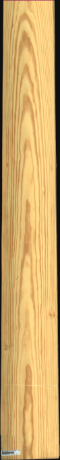 Carolina Pine, 16,4160