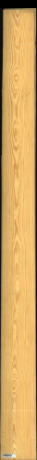 Carolina Pine, 13,9080