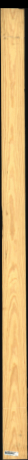 Carolina Pine, 10,4400