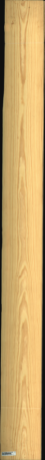 Carolina Pine, 16,9920