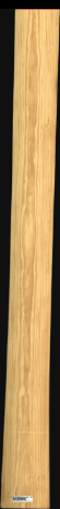 Carolina Pine, 13,2240