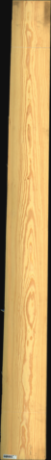 Carolina Pine, 17,0100