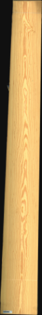 Carolina Pine, 22,3200