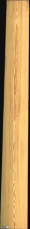 Carolina Pine, 23,0400