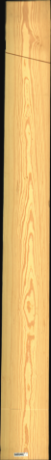 Carolina Pine, 21,6000