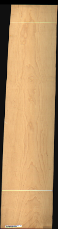 Bird Eye Maple, 15.9120