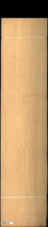 Bird Eye Maple, 19.0080