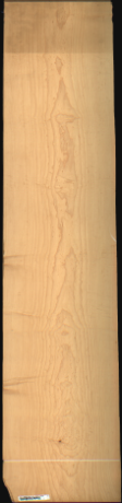 Bird Eye Maple, 19.9680