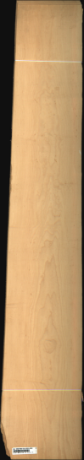 Bird Eye Maple, 16.2240