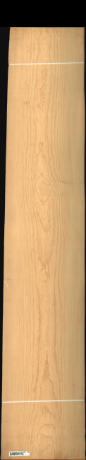 Bird Eye Maple, 19.9920