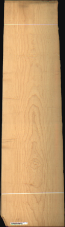 Bird Eye Maple, 18.7200