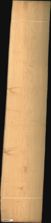 Bird Eye Maple, 21.8400