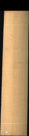 Bird Eye Maple, 20.7360