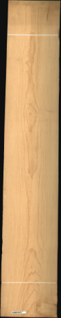 Bird Eye Maple, 19.9680