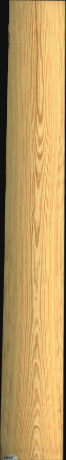 Carolina Pine, 23,5200