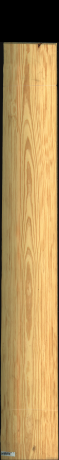 Carolina Pine, 20,8080